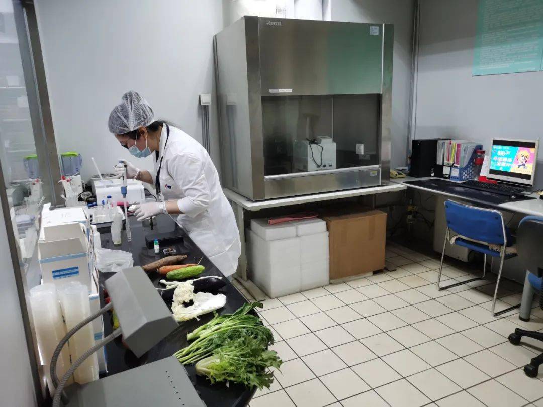 碧江食品检测实验室装修方案
